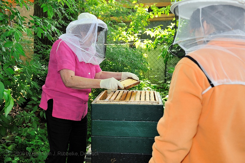 DSC_0432.jpg